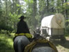 Sprucemedows 304